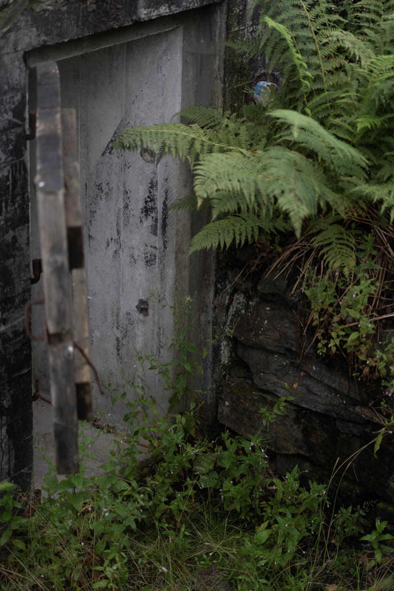 Scouting Image One - Bunker